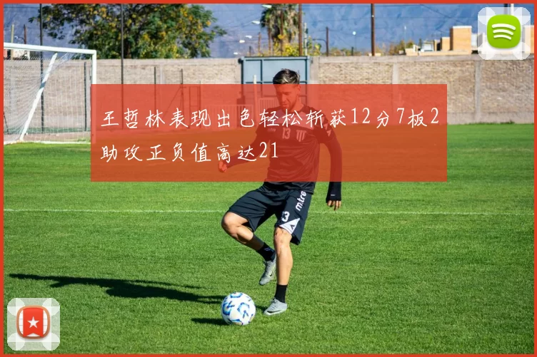 王哲林表现出色轻松斩获12分7板2助攻正负值高达21
