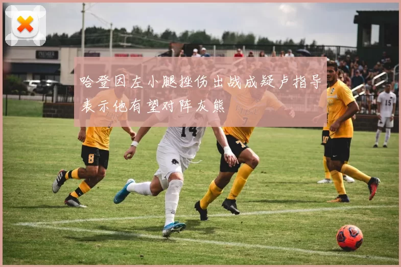 哈登因左小腿挫伤出战成疑卢指导表示他有望对阵灰熊