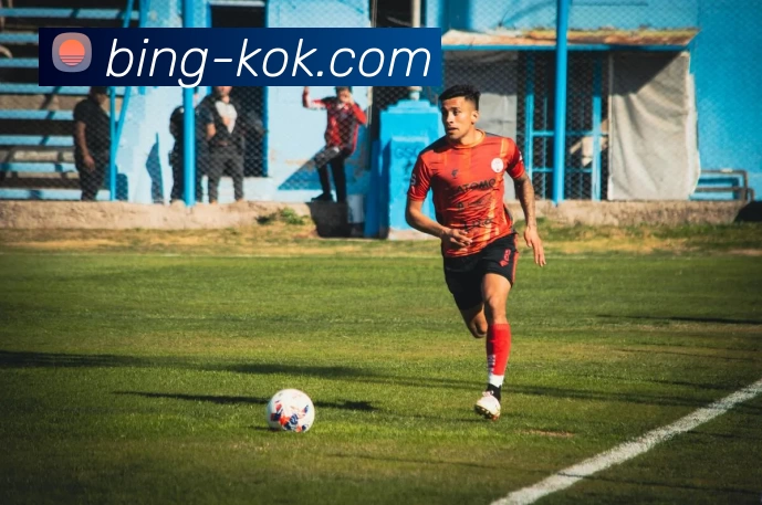 KOK体育服务体系